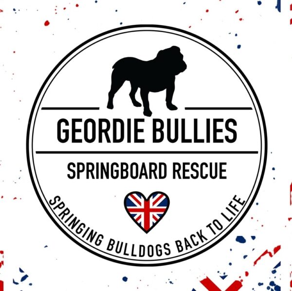 Dudley - Charity Fundraiser