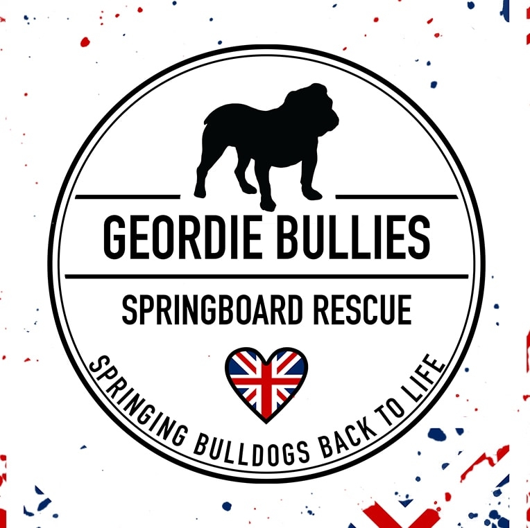 Geordie Bullies Springboard Rescue