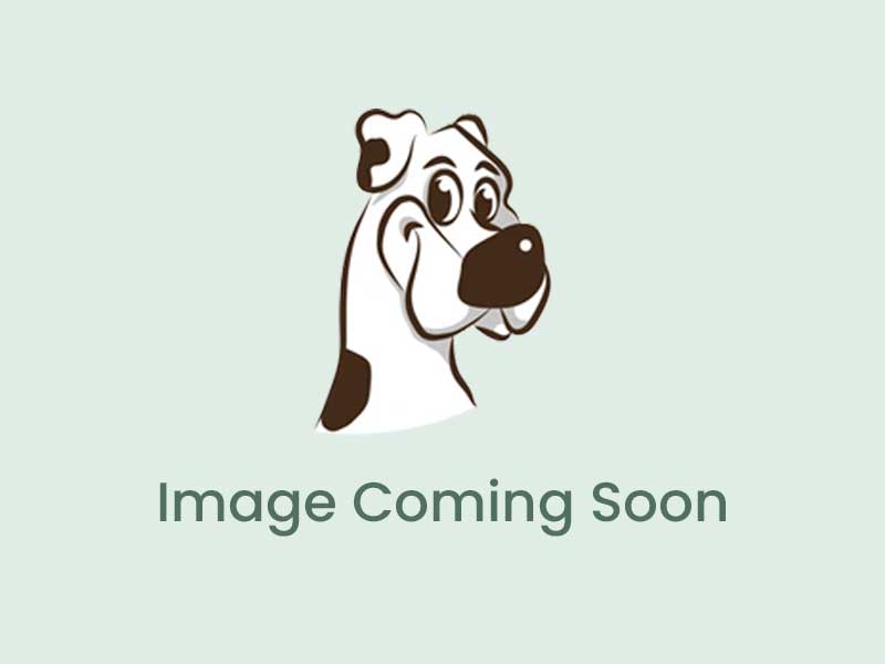 product placeholder Image