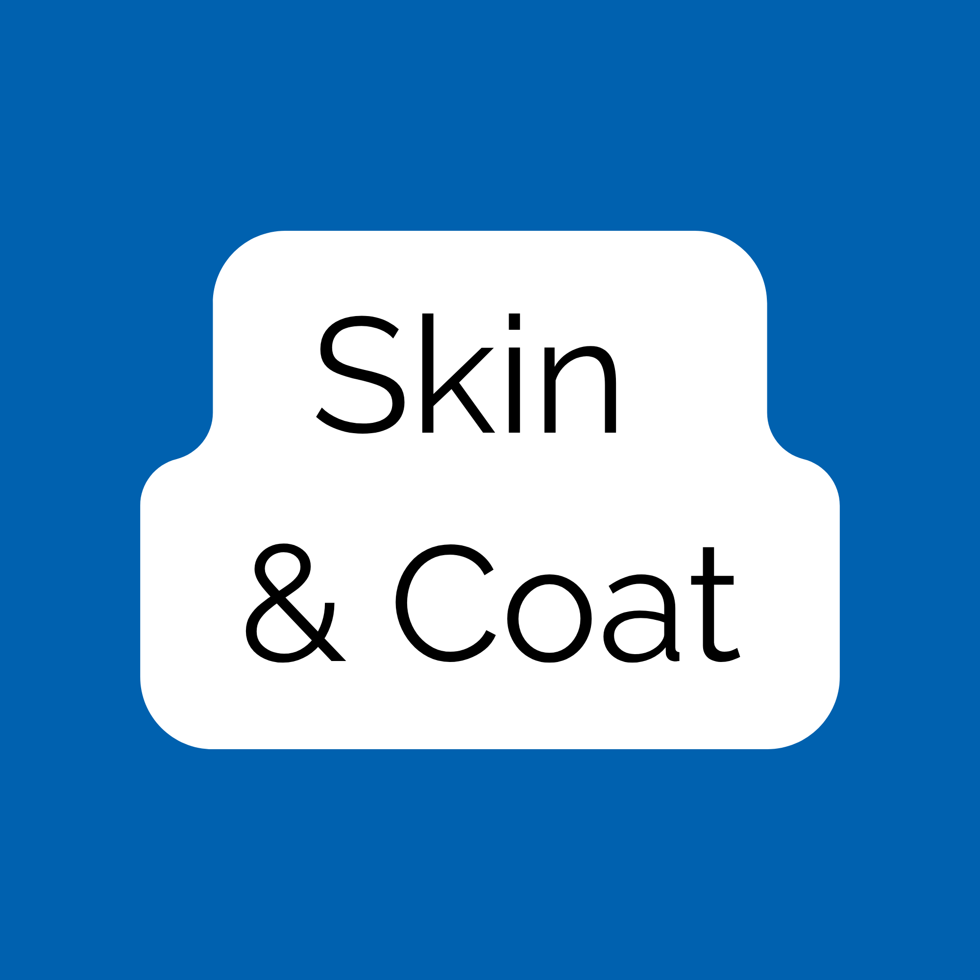 Skin & Coat