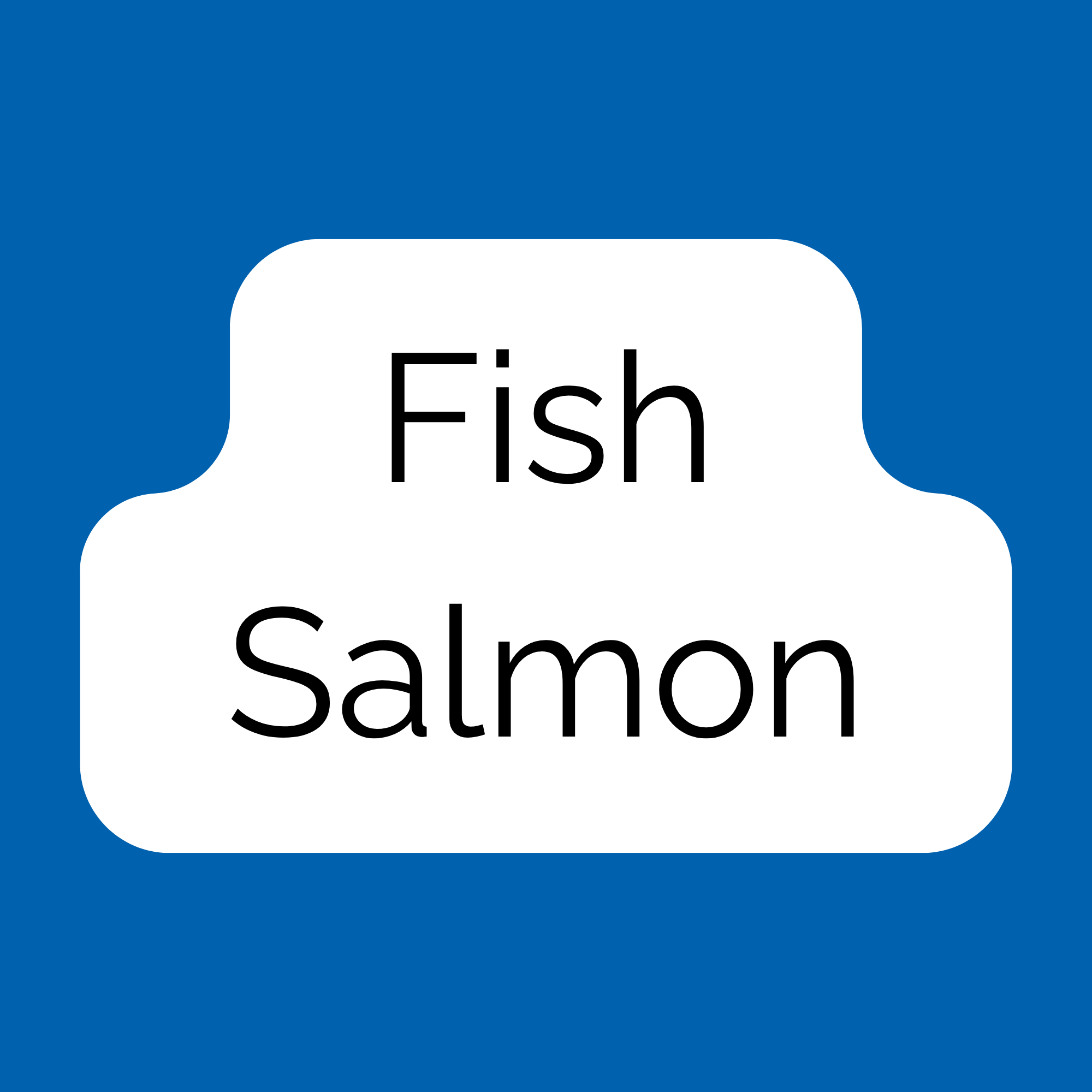 Fish / Salmon
