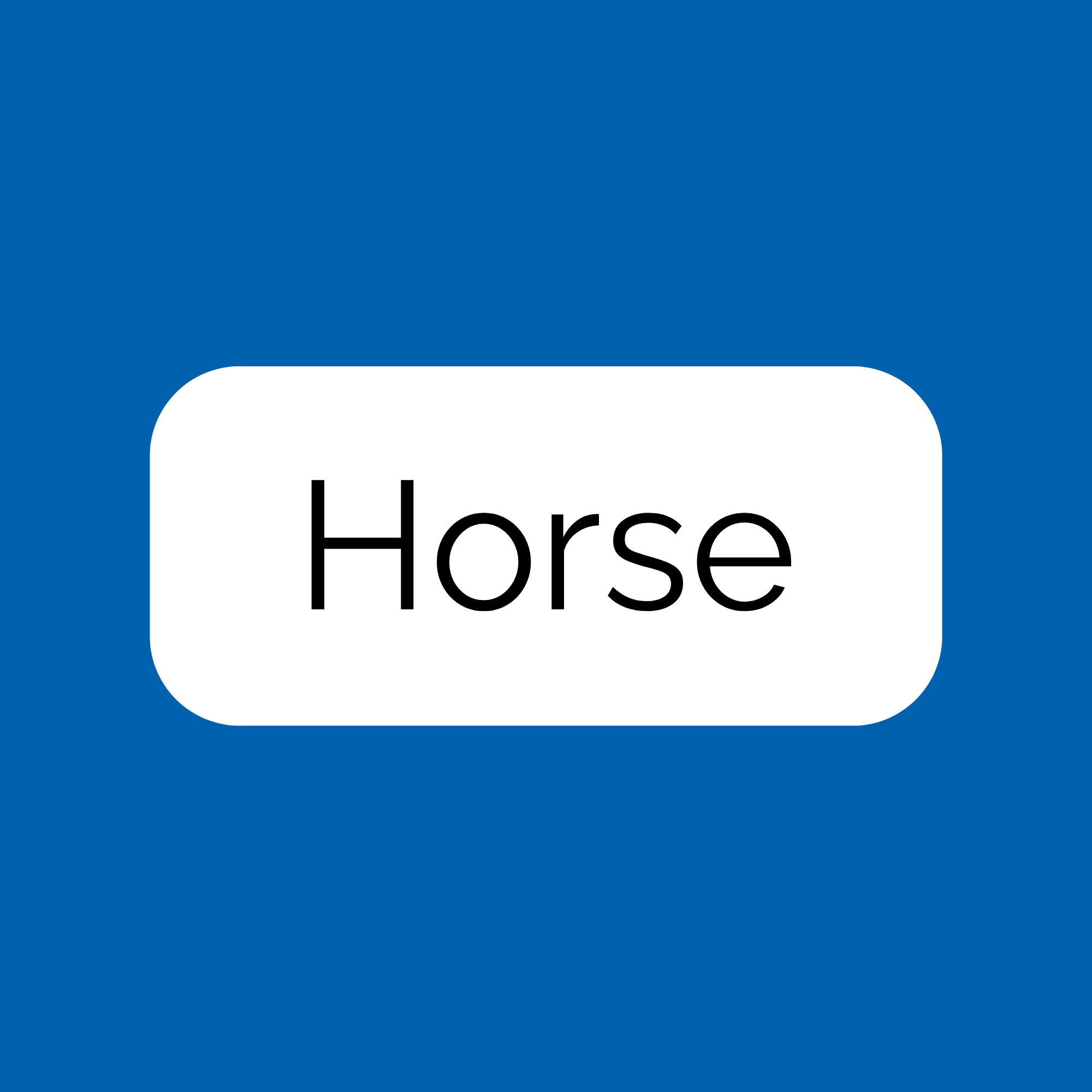 Horse
